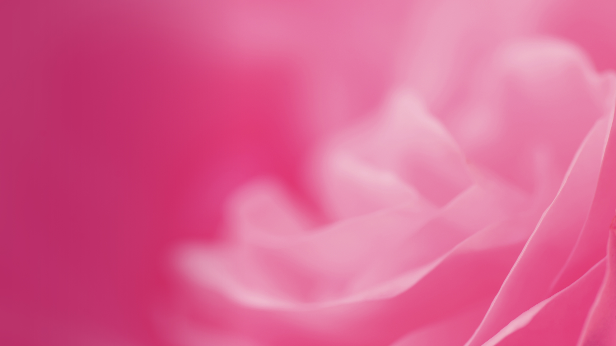 Case varden visuell identitet hcp 06 bild
